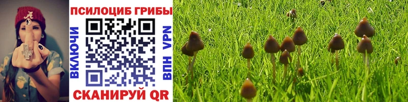 Галлюциногенные грибы ЛСД  Купить  Минеральные Воды 